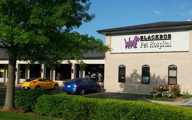 Blackbob Pet Hospital & Cat Clinic in Olathe, KS