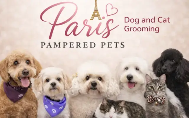 Paris' Pampered Pets in Vista, CA