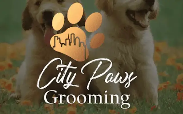 CityPaws Grooming in Houston, TX