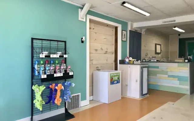 Barkaritaville Grooming & Boarding in Dundee, NY