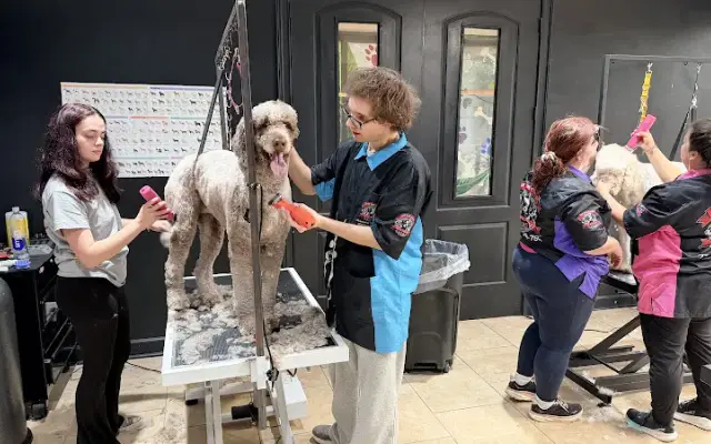 OTCK9 Grooming School in Kennesaw, GA