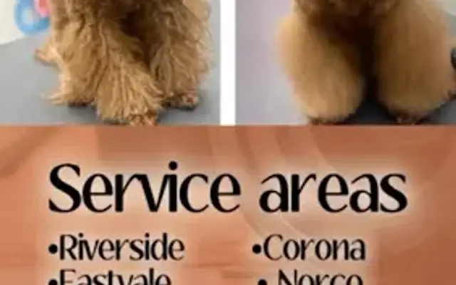 Sassy Paws Mobile Pet Salon in Riverside, CA