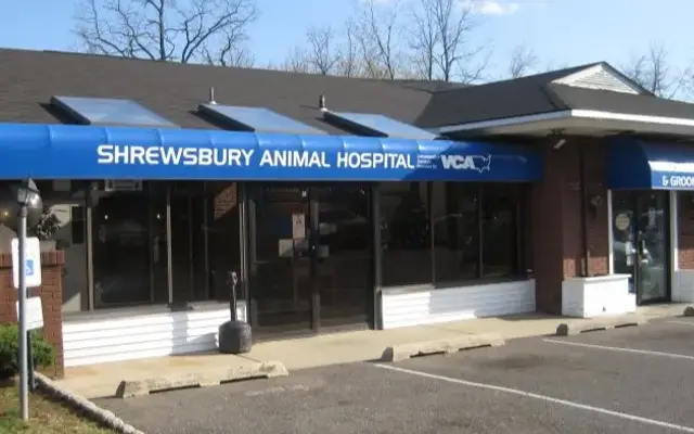 Shrewsbury Animal Hospital in Oakhurst, NJ