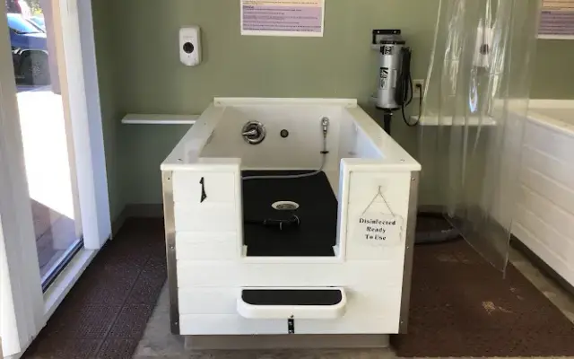 The Doggy Self-Wash in La Mesa, CA