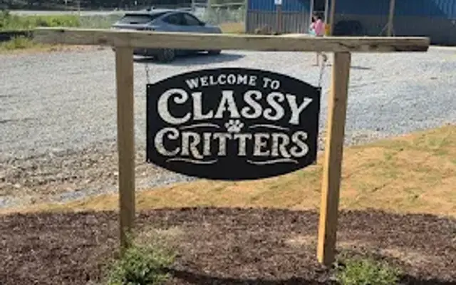 Classy Critters 2.0 Grooming & Boarding in Rome, GA