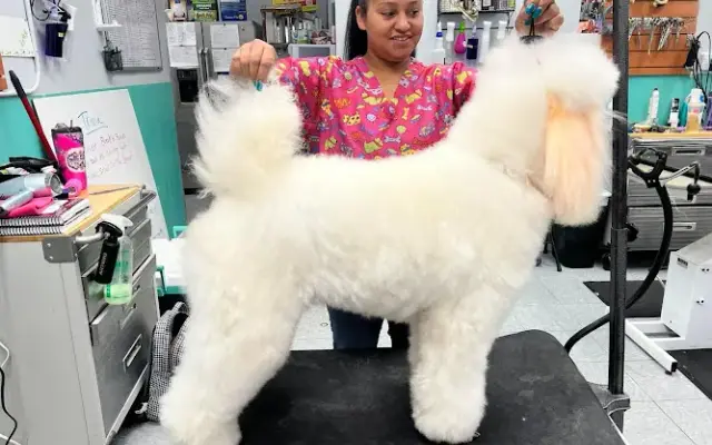 A Fluff Above Mobile Grooming in Del City, OK