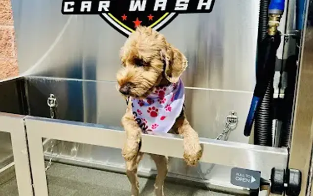 Shine Time Pet Wash in Richmond, TX