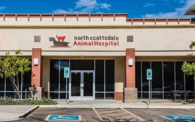 North Scottsdale Animal Hospital in Scottsdale, AZ