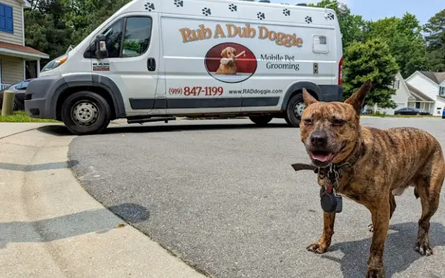 Rub A Dub Doggie in Raleigh, NC