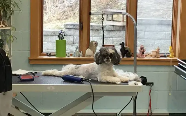 The Groomery LLC in Faribault, MN