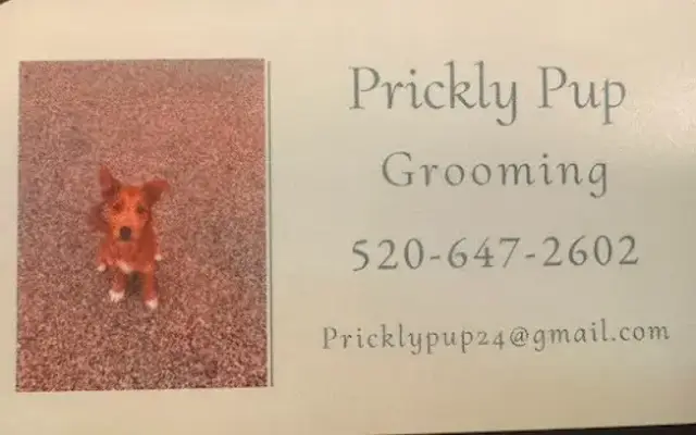 Prickly Pup in Tucson, AZ