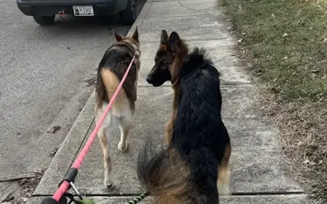 Butl'rrr Bark in Indianapolis, IN