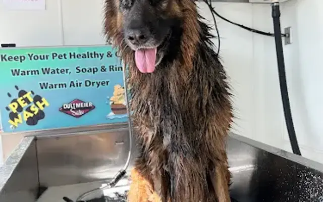 Stevie Boy's Dog Wash in Euless, TX
