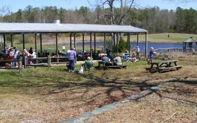 Dude Ranch Pet Resort® in Glen Allen, VA