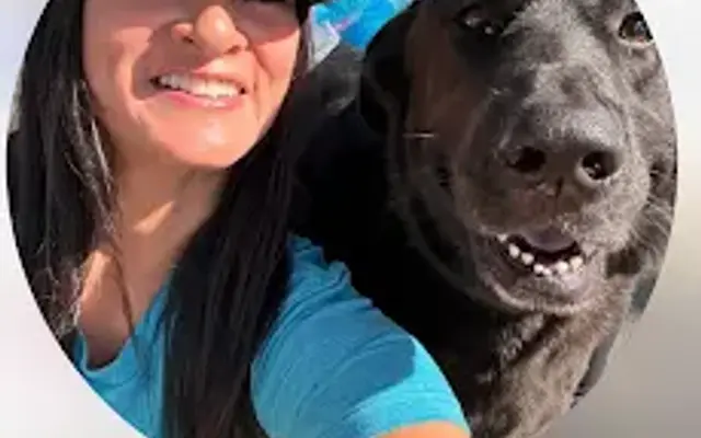 Bubbles & Barks Grooming in Elk Grove, CA