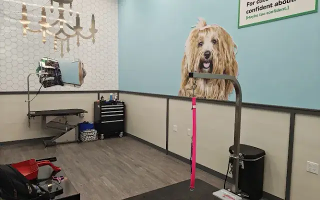 Pet Supplies Plus Bayshore Gardens Grooming in Bradenton, FL