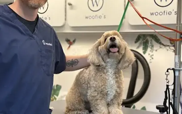 Woofie’s® of St. Petersburg in St. Petersburg, FL