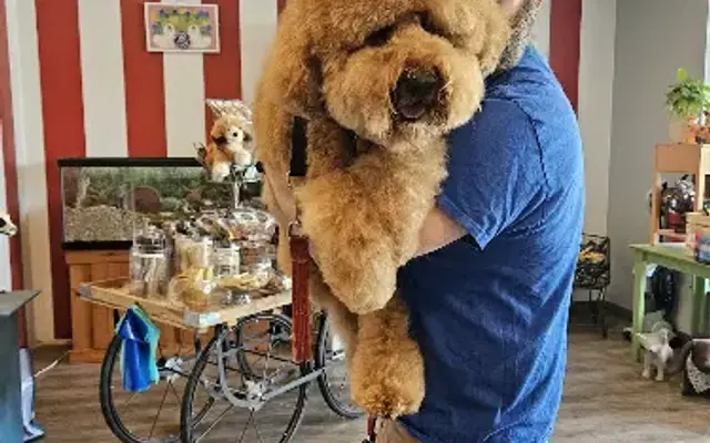 Wags on Willow in Northfield, IL