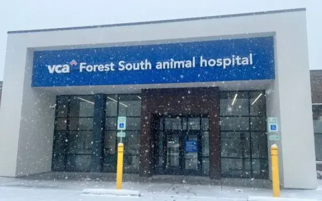 VCA Forest South Animal Hospital in Olympia Fields, IL
