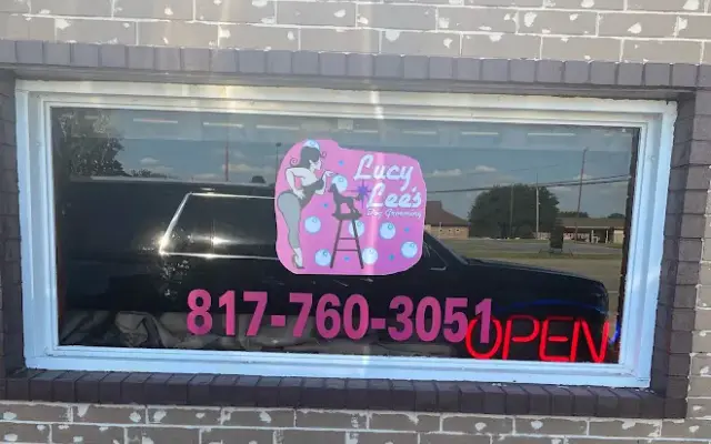 Lucy Lee's Dog Grooming in Hurst, TX