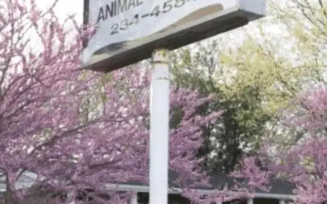 Lashley Animal Hospital in Swansea, IL