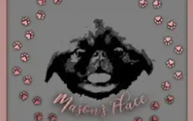 Masons Place in Troy, NY