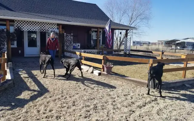 Pet Palace | Emmett Id Dog Grooming & Boarding in Emmett, ID