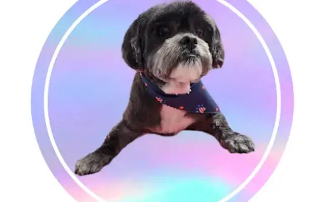Southern Bubbles Pet Grooming in Lucedale, MS