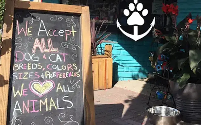 PAWS & ANCHOR in Bradley Beach, NJ