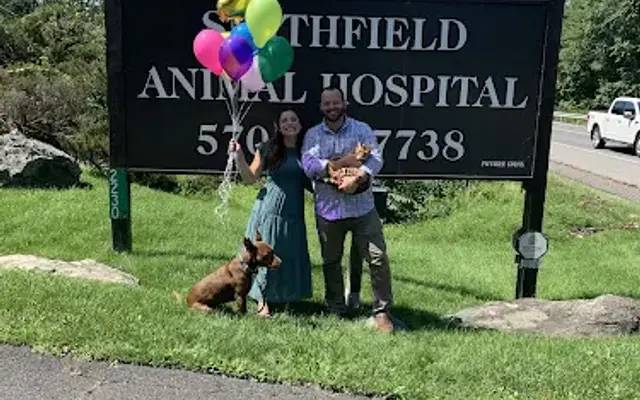 Smithfield Animal Hospital in East Stroudsburg, PA