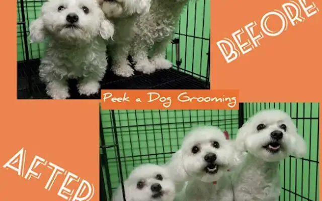 Peek-A-Dog Grooming in South Gate, CA