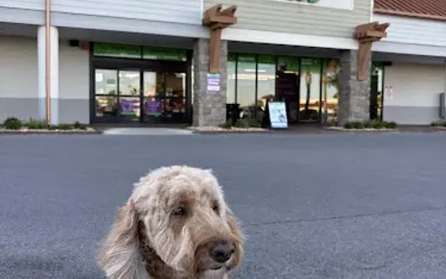 Pet Supplies Plus Panama City Grooming in Panama City, FL