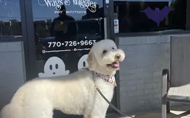 Wags and Wiggles Pet Boutique in Canton, GA