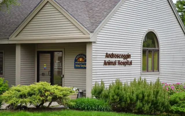 Androscoggin Animal Hospital in Topsham, ME