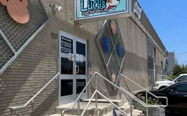Lucy's Doggy Daycare and Spa - Downtown in San Antonio, TX
