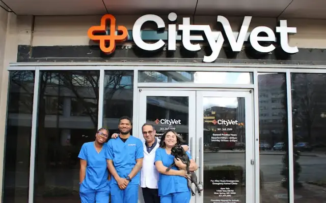 CityVet | Chevy Chase in Chevy Chase, MD