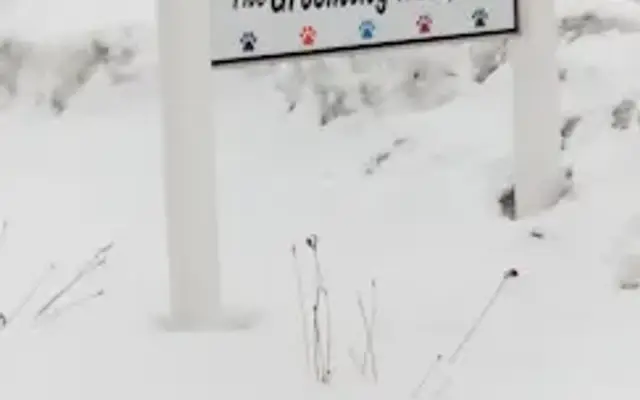 The Grooming Hall in Rothschild, WI