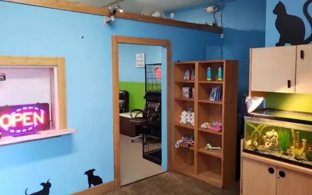 Central Bark Pet Grooming in Benicia, CA