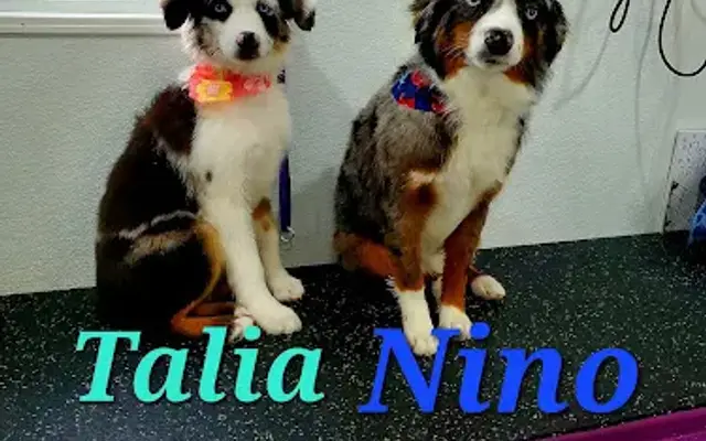 Pampered Paws of Nassau LLC in Fernandina Beach, FL