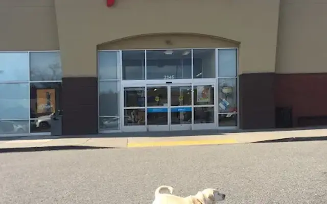 Petco in Cumming, GA