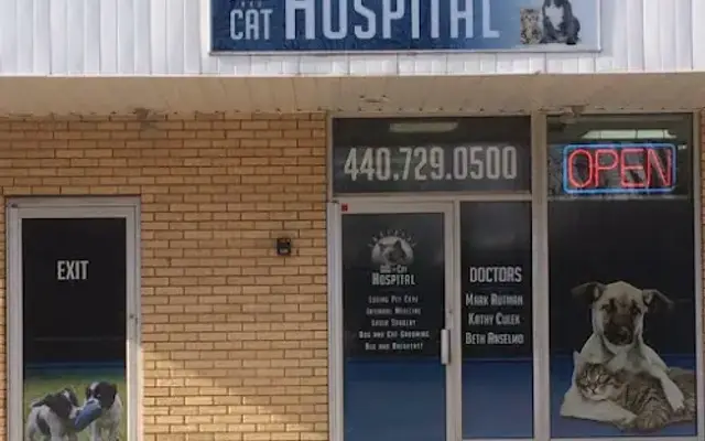Eastside Dog & Cat Hospital in Chesterland, OH