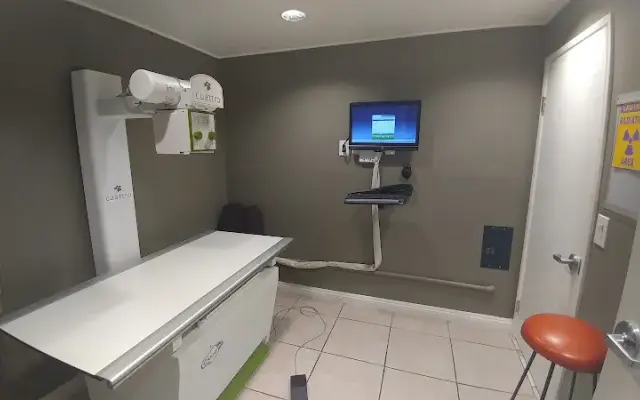 Airport Animal Hospital in Fullerton, CA