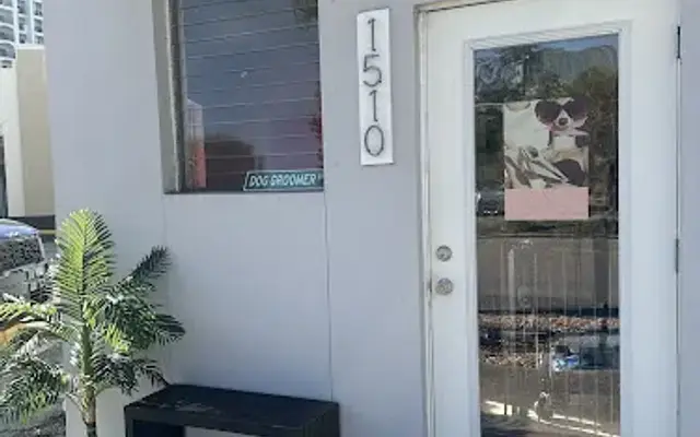 SPOT srq Dog Grooming in Sarasota, FL