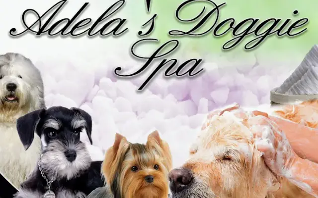 Adela's Doggie Spa in Miami, FL