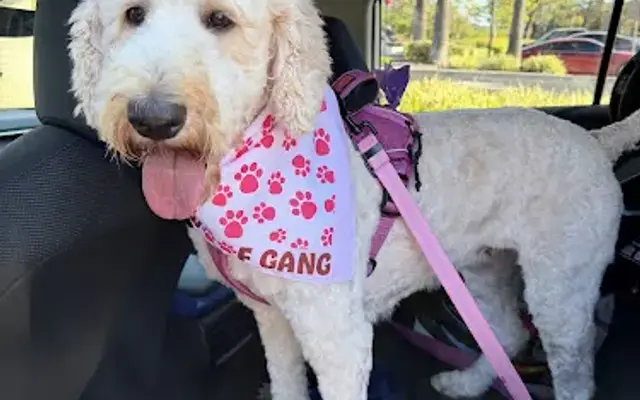 Woof Gang Bakery & Grooming Rancho Santa Margarita in Rancho Santa Margarita, CA