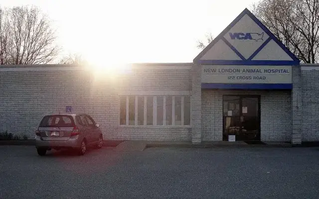 VCA New London Animal Hospital in Waterford, CT