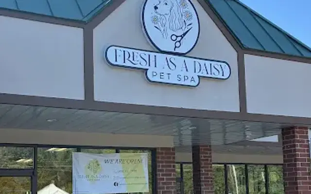 Fresh as a Daisy Pet Spa in Schenectady, NY