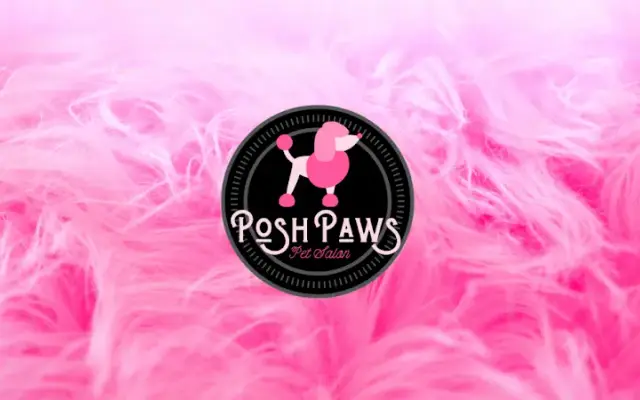 Posh Paws Pet Salon in Temple, TX