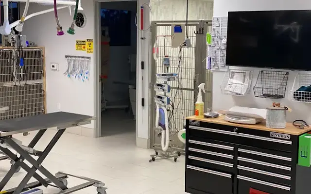 ARCHVET Animal Hospital in San Jose, CA