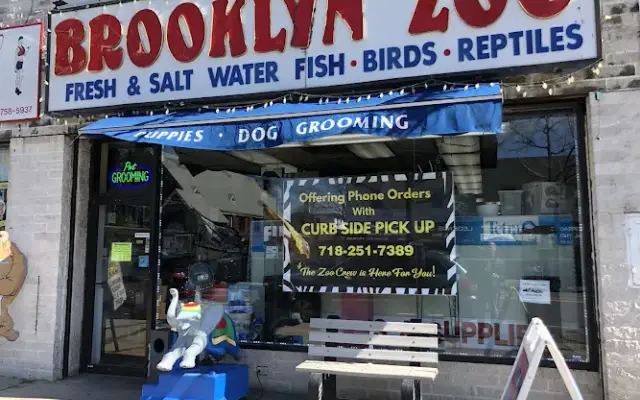 Brooklyn Zoo & Aquarium Pet Store in Brooklyn, NY
